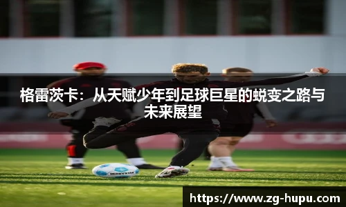 虎扑体育nba