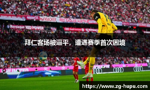 虎扑体育