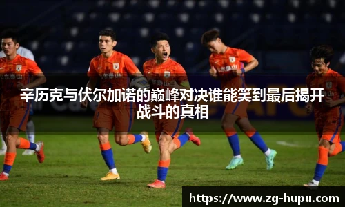辛历克与伏尔加诺的巅峰对决谁能笑到最后揭开战斗的真相
