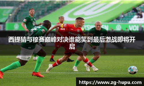 虎扑体育nba